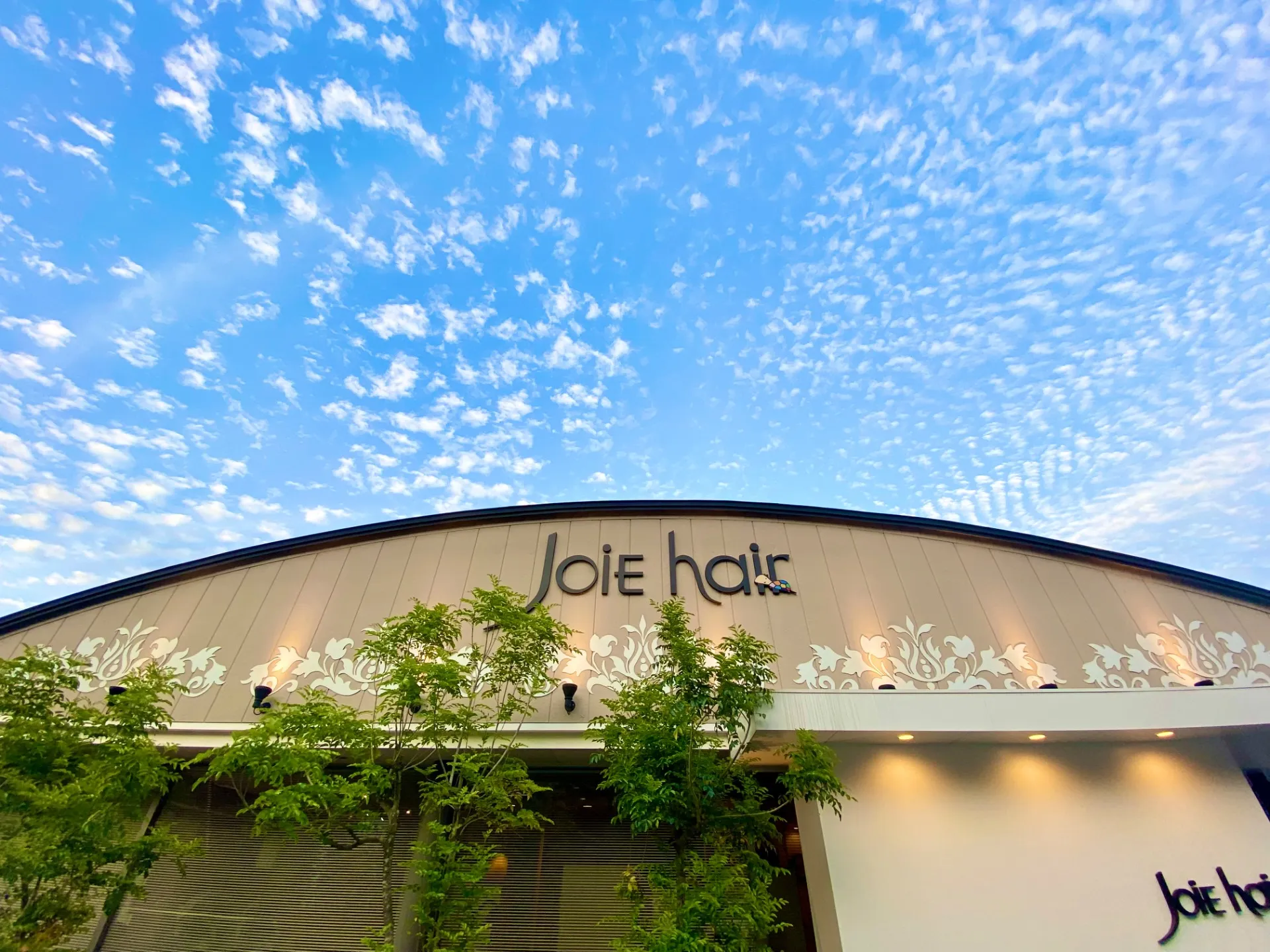 臼杵店 美容師/正社員